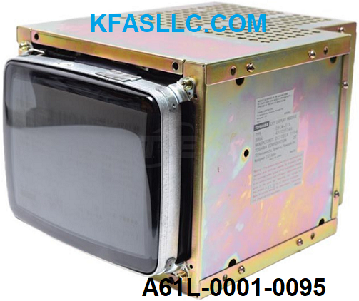 A61L-0001-0095